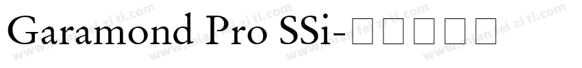 Garamond Pro SSi字体转换
